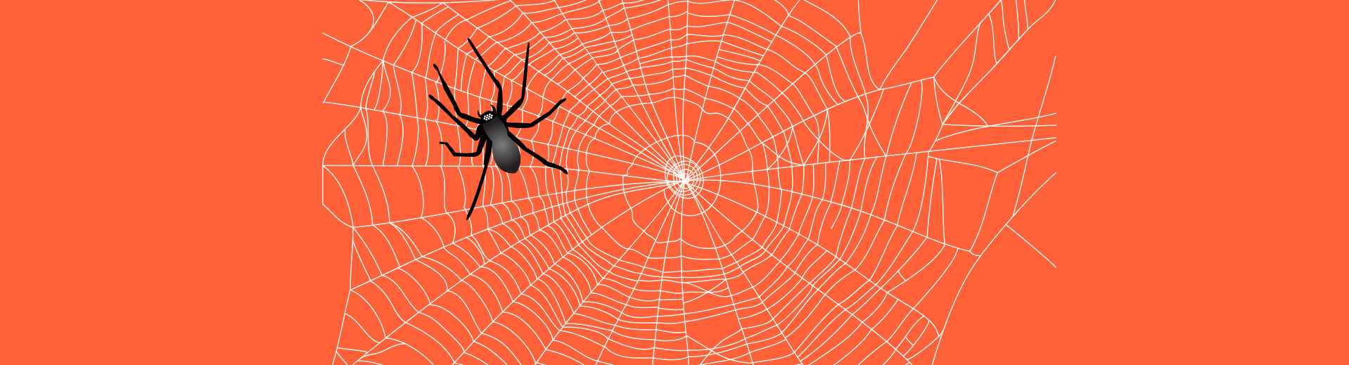 Обзор программы Netpeak Spider, как инструмента технического аудита