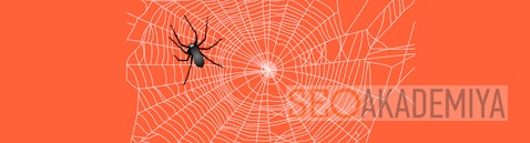 Обзор программы Netpeak Spider, как инструмента технического аудита