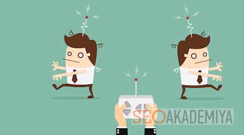 How to check the work of an SEO specialist