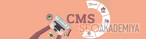 Какую CMS выбрать для блога