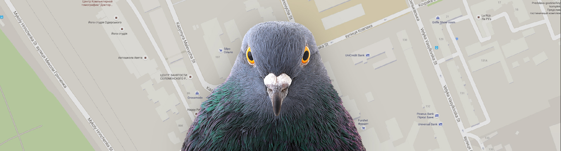 Алгоритм Google Голуб (Pigeon) і локальний пошук