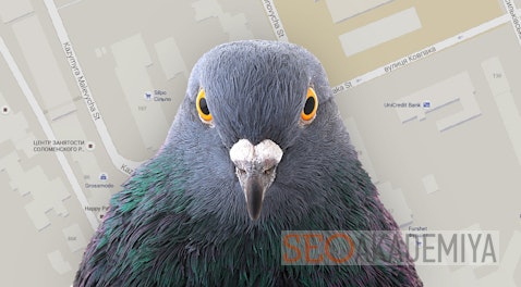 Google Dove Algorithm (Pigeon) and Local Search
