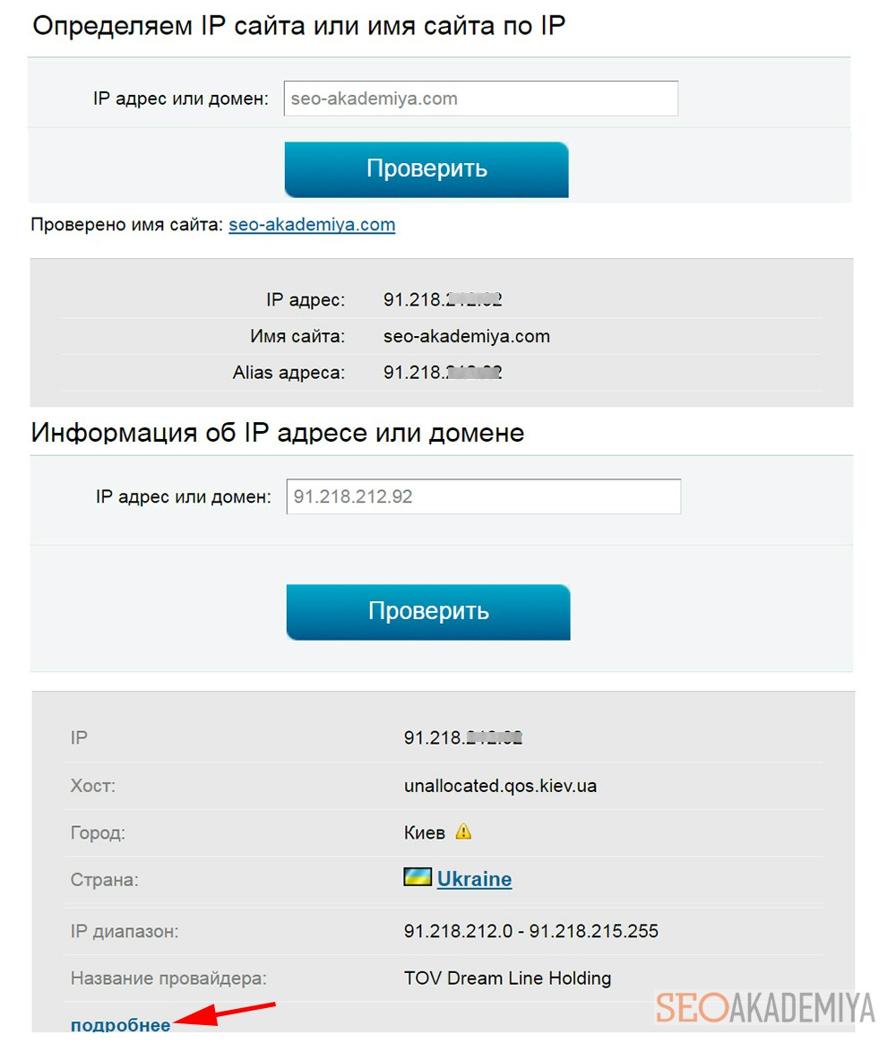 IP сайта и информация об IP на 2ip.ru