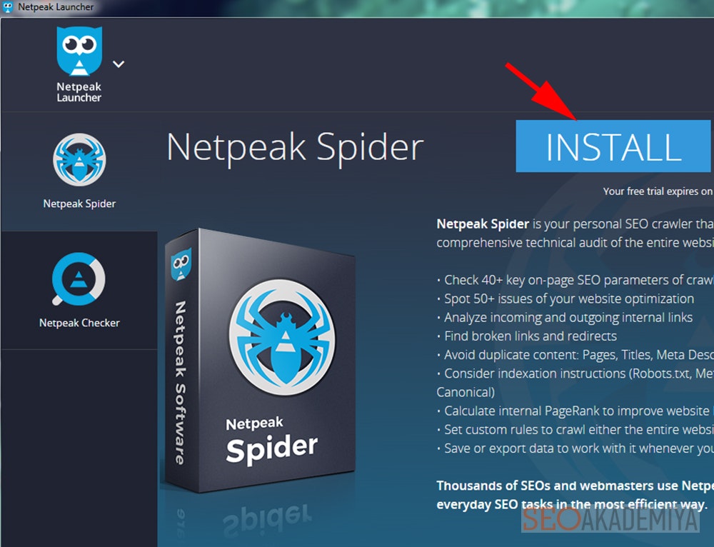Установка Netpeak Spider