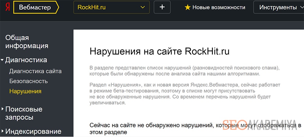 Нарушения на сайте - фото из Яндекс.Вебмастер