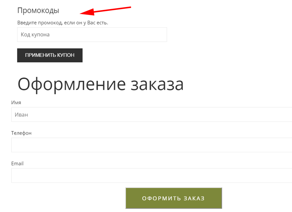 Поле для введения неактуального промо-кода купона