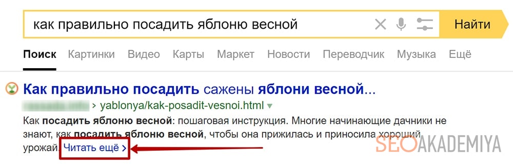 Сниппет Яндекса читать еще
