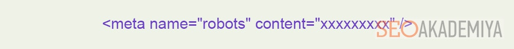 Структура мета-тега robots