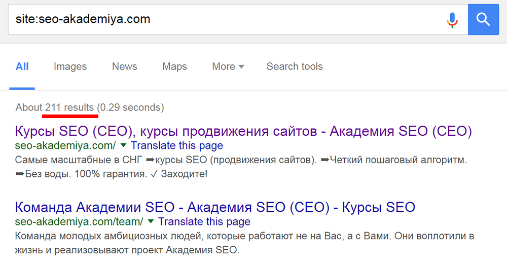 Проверка количества страниц в индексе