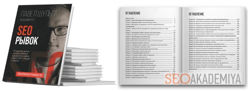 Электронная книга Павла Шульги о seo-продвижении