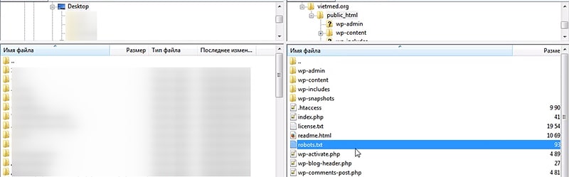 Как добавить robots.txt в WordPress
