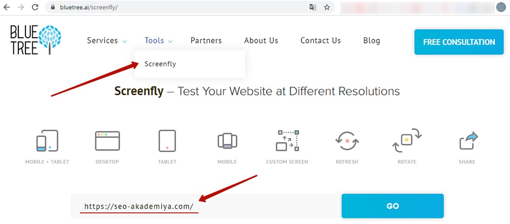начало проверки сайта в BlueTree ai