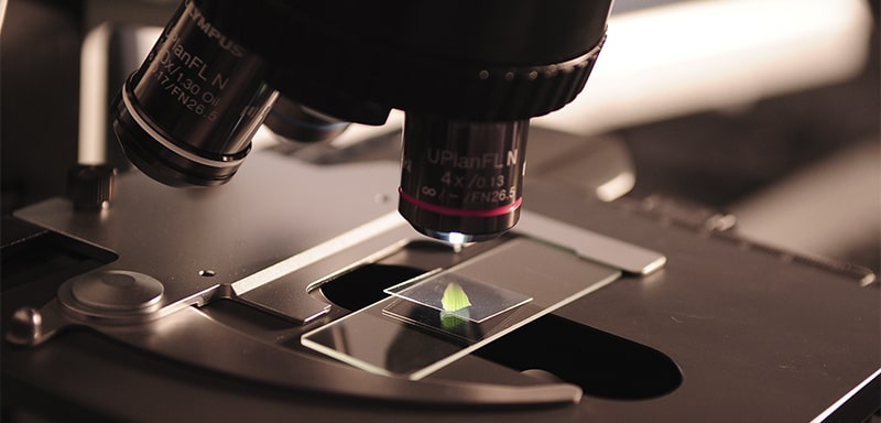 Новые профессии в it и инновациях