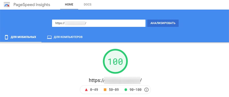 оценка 100 из 100 в pagespeed insights