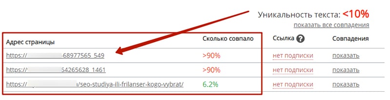 поиск плагиаторов контента пример