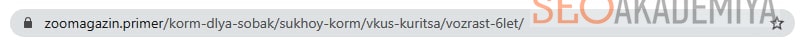Правильные урл фильтров под seo пример