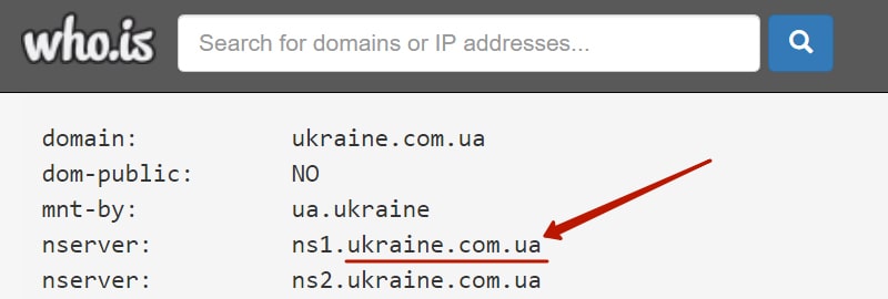 проверка хостера сайта-вора в сервисе whois