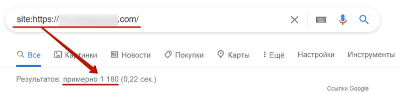 проверка количества страниц сайта донора скриншот