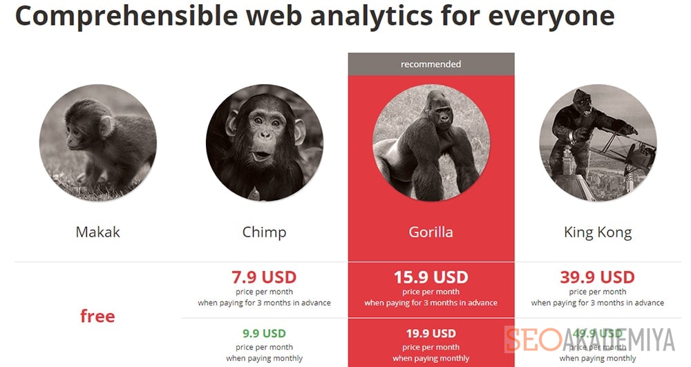 Стоимость инструмента monkeytracker